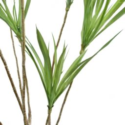 Leaf 125cm Dragon Tree Dracaena Plant Natural Look Artificial in Green - thumbnail 3