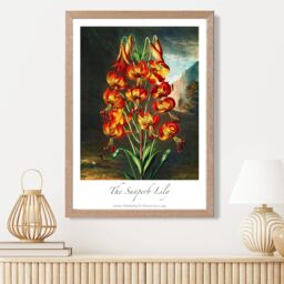 ARTZE Vintage Floral Exhibition - Lily Flower Framed Print SIZE: A4 with Oak Frame in Red - thumbnail 2
