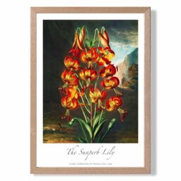 ARTZE Vintage Floral Exhibition - Lily Flower Framed Print SIZE: A4 with Oak Frame in Red