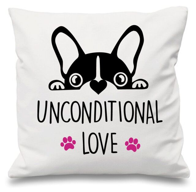 "60 SECOND MAKEOVER Frenchie Unconditional Love White Cushion Cover 16"" x 16"" Mum Friend Gift French Bull Dog - Size: 40 cm x 40 cm"