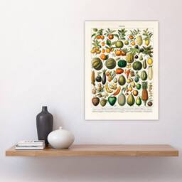 "Artery8 Fruits & Vegetables Vintage French Encyclopedia Wall Art Print Poster in Beige - Size: W24"" x H32""" - thumbnail 4