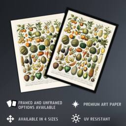 "Artery8 Fruits & Vegetables Vintage French Encyclopedia Wall Art Print Poster in Beige - Size: W24"" x H32""" - thumbnail 2