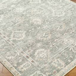Livabliss Galey Alix Collins Avenue I-Vintage Green Beige Traditional Fringe Living Rug - Size: 160 cm x 215 cm - thumbnail 6