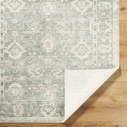 Livabliss Galey Alix Collins Avenue I-Vintage Green Beige Traditional Fringe Living Rug - Size: 160 cm x 215 cm - thumbnail 4