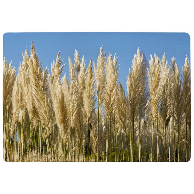 Benjamin Tate Design Pampus Grass Designer Rug in Natural - Size: Large - image 1