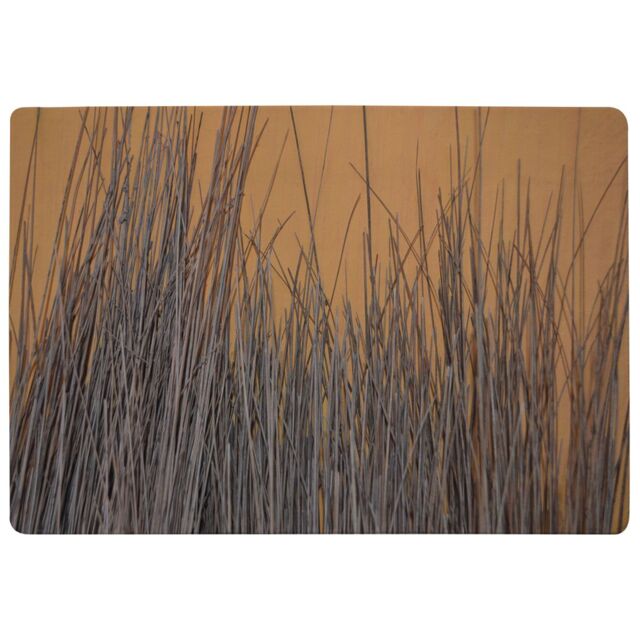 Benjamin Tate Design Broom Stick On The Wall Designer Rug in Natural - Size: Large - image 1