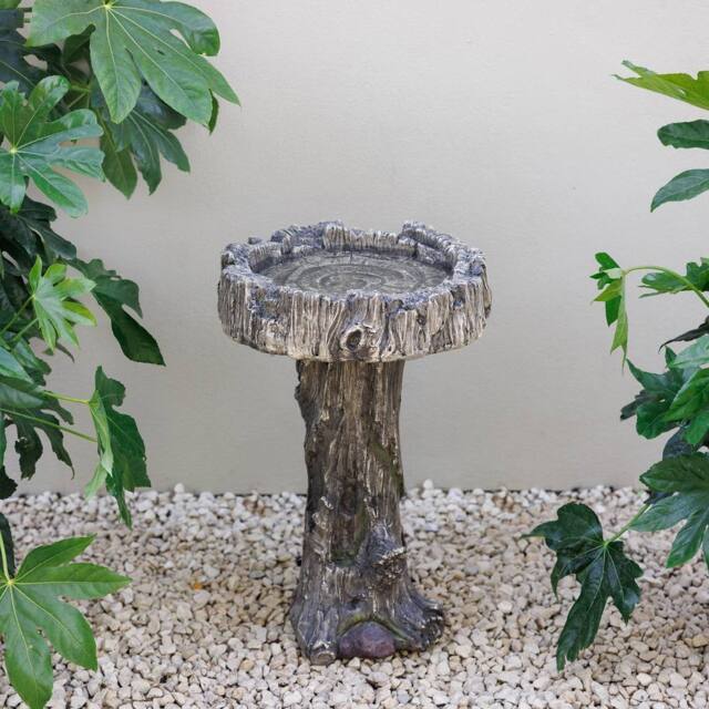 Primrose Teviot Tree Stump Design Decorative Garden Birdbath Bird Table 57.5cm in Grey - image 1