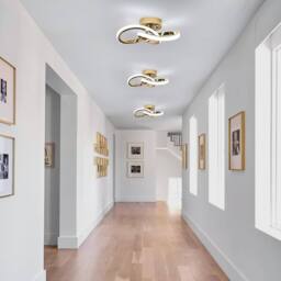 Pheashine Gold LED Ceiling Light, 22W 6500K Cool White, 25cm Modern Flush Mount - thumbnail 4