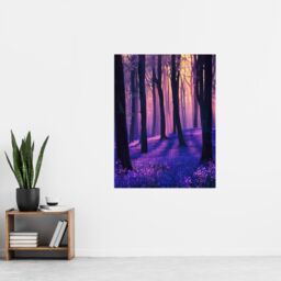 "Artery8 Realistic Purple Bluebell Forest Artwork Dawn Sun Wall Art Print - Size: W18"" x H24""" - thumbnail 4