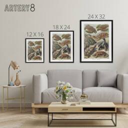 "Artery8 Chelonia Turtles Haeckel Botanical Black Framed Canvas Wall Art - Size: W12"" x H16""" - thumbnail 4