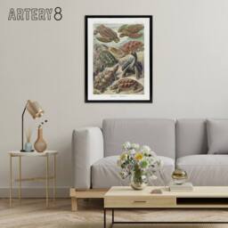 "Artery8 Chelonia Turtles Haeckel Botanical Black Framed Canvas Wall Art - Size: W12"" x H16""" - thumbnail 3