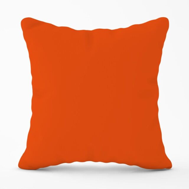 Warren Reed - Designer Burnt Orange Outdoor Cushion - Size: 60 cm x 60 cm - image 1