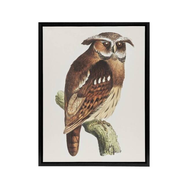"Artery8 Eagle Owl Perched on a Branch Framed Canvas Wall Art Print van Hoytema in Brown - Size: W12"" x H16""" - image 1