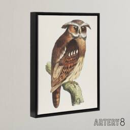 "Artery8 Eagle Owl Perched on a Branch Framed Canvas Wall Art Print van Hoytema in Brown - Size: W12"" x H16""" - thumbnail 2