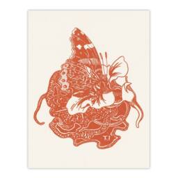 Artery8 Theo van Hoytema Framed Wall Art Print Butterfly on Nasturtium Flower in Red - Size: A4 - thumbnail 3