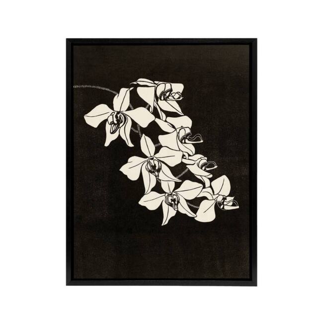 "Artery8 Black & White Orchid Flower De Mesquita Framed Canvas Wall Art Print - Size: W12"" x H16""" - image 1