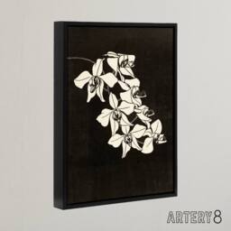 "Artery8 Black & White Orchid Flower De Mesquita Framed Canvas Wall Art Print - Size: W12"" x H16""" - thumbnail 2