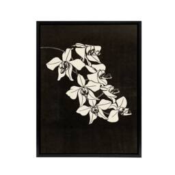"Artery8 Black & White Orchid Flower De Mesquita Framed Canvas Wall Art Print - Size: W12"" x H16""" - thumbnail 1