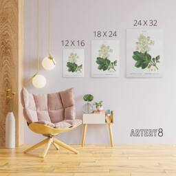 "Artery8 Oakleaf Hydrangea Flowers Redoute Vintage Canvas Wall Art in White - Size: W18"" x H24""" - thumbnail 4
