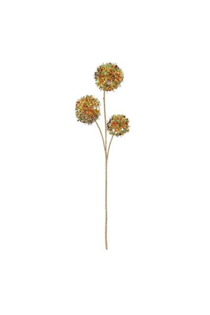 KDMD Russet Green Cassia Fistula 98cm - image 1