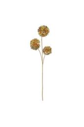 KDMD Russet Green Cassia Fistula 98cm - thumbnail 1