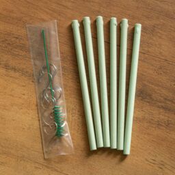 Samuel Alexander Icicles on Spruce Scented Christmas Scentsicles with 6 Hanging Hooks in Green - thumbnail 5