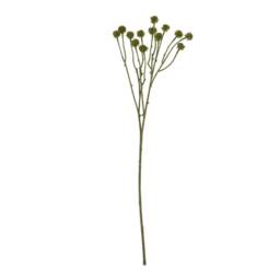 Lemon Pavilion Furniture and Decor Craspedia Stem - Plastic - L5 x W7 x H60 cm - Green - thumbnail 4