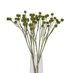 Lemon Pavilion Furniture and Decor Craspedia Stem - Plastic - L5 x W7 x H60 cm - Green - thumbnail 5