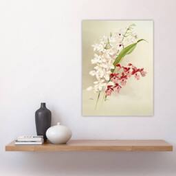 "Artery8 Frederick Sander White Pink Hybrid Orchid Flowers Wall Art Print - Size: W12"" x H16""" - thumbnail 4