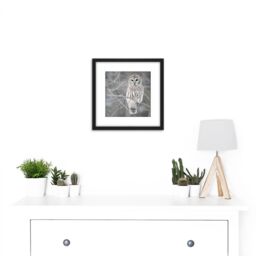 Artery8 Mdf Barred Owl Bird Tree Nature Photo 8X8 Inch Square Wooden Framed Wall Art Print Picture with Mount in Black - thumbnail 2