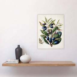 "Artery8 New Zealand Taraire Fruit Branch Featon Wall Art Poster Print in Beige - Size: W24"" x H32""" - thumbnail 4