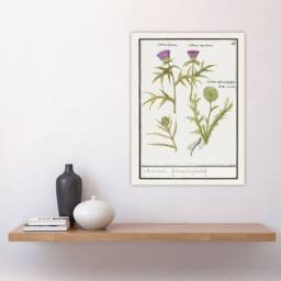 "Artery8 Thistle & Artichoke Flowers de Boodt Wall Art Poster Print in White - Size: W12"" x H16""" - thumbnail 4