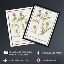 "Artery8 Thistle & Artichoke Flowers de Boodt Wall Art Poster Print in White - Size: W12"" x H16""" - thumbnail 2