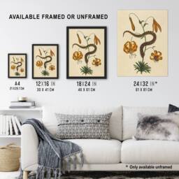 Artery8 Hog Nose Snake & Tiger Lily Mark Catesby Framed Wall Art Print in Beige - Size: A4 - thumbnail 3