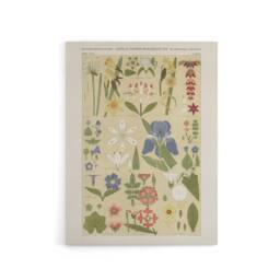 "Artery8 Leaves & Flowers From Nature No 8 Jones Canvas Wall Art in Beige - Size: W18"" x H24""" - thumbnail 1