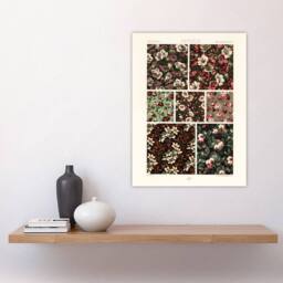 "Artery8 Pink Green Floral Patterns Racinet Vintage Wall Art Print Poster - Size: W12"" x H16""" - thumbnail 4