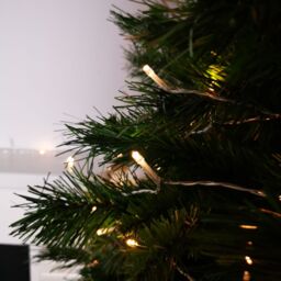 Samuel Alexander 10m Battery Operated Christmas String Lights with 100 Warm White LEDs on Clear Cable in Beige - thumbnail 2