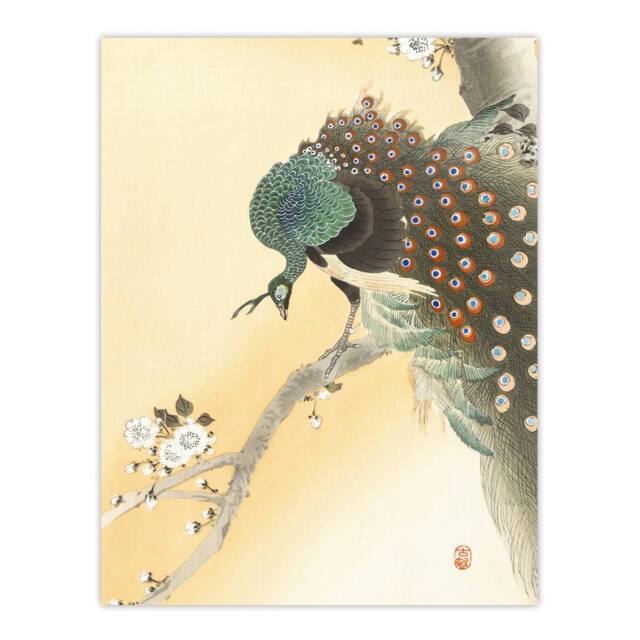 "Artery8 Peacock On A Cherry Blossom Tree Retro Japan Wall Art Print Koson in Orange - Size: W12"" x H16""" - image 1