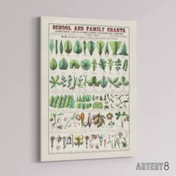 "Artery8 School & family chart No XIX Calkins Canvas Wall Art Print in White - Size: W12"" x H16""" - thumbnail 2