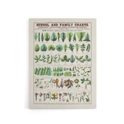 "Artery8 School & family chart No XIX Calkins Canvas Wall Art Print in White - Size: W12"" x H16""" - thumbnail 1