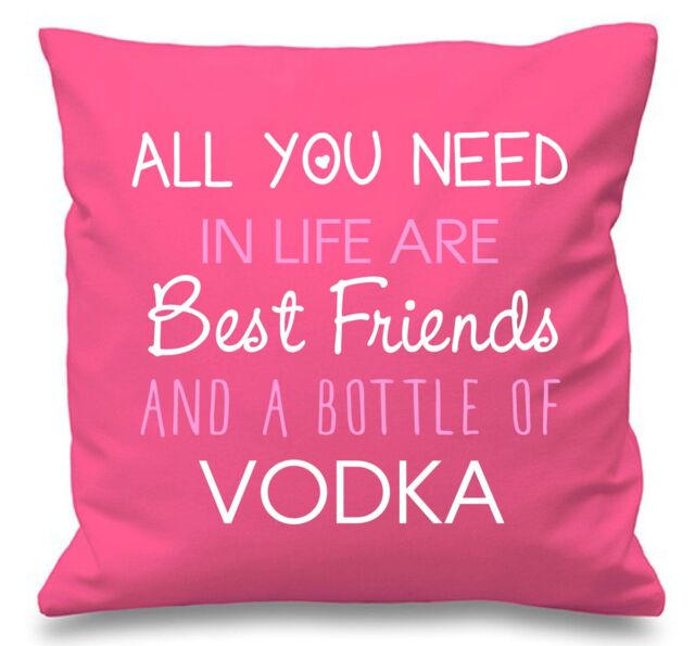"60 SECOND MAKEOVER Cushion Cover All You Need In Life Are Best Friends & A Bottle Of Vodka 16"" x 16"" in Pink - Size: 40 cm x 40 cm"