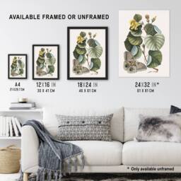 Artery8 Ketmia Hibiscus Flower & Butterfly Catesby Framed Wall Art Print - Size: A4 - thumbnail 3