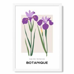 ARTZE Purple Iris Plants Flower Market Minimalist Framed Print SIZE: A4 with White Frame - thumbnail 1