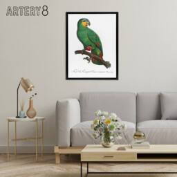 "Artery8 The Orange Winged Amazon Parrot Levaillant Framed Canvas Wall Art in White - Size: W12"" x H16""" - thumbnail 3