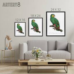 "Artery8 The Orange Winged Amazon Parrot Levaillant Framed Canvas Wall Art in White - Size: W12"" x H16""" - thumbnail 4