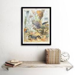 "Artery8 Millot Encyclopedia Page Ocean Animals 12x16"" Framed Art Print - Size: W12"" x H16""" - thumbnail 2