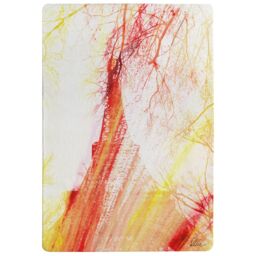 Benjamin Tate Design Fury Rug in Natural - Size: Large - thumbnail 1