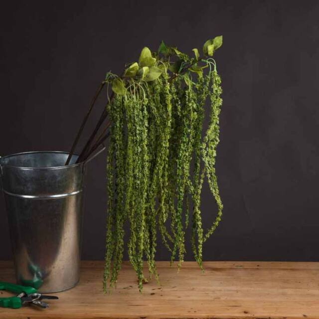 Lemon Pavilion Furniture and Decor Amaranthus Artificial Plant - Plastic - L7 x W7 x H100 cm - Green
