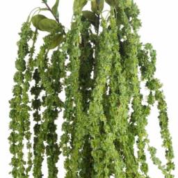 Lemon Pavilion Furniture and Decor Amaranthus Artificial Plant - Plastic - L7 x W7 x H100 cm - Green - thumbnail 5