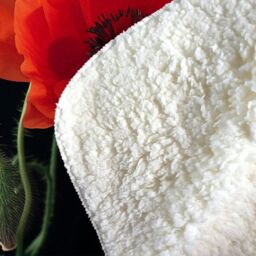 Warren Reed - Designer Poppies Sherpa Blanket - Size: Large - thumbnail 3